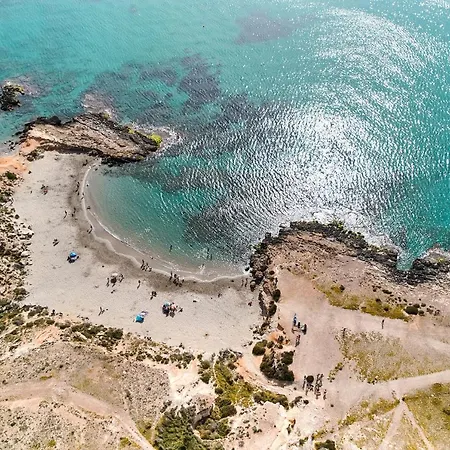 Perla * Alicante